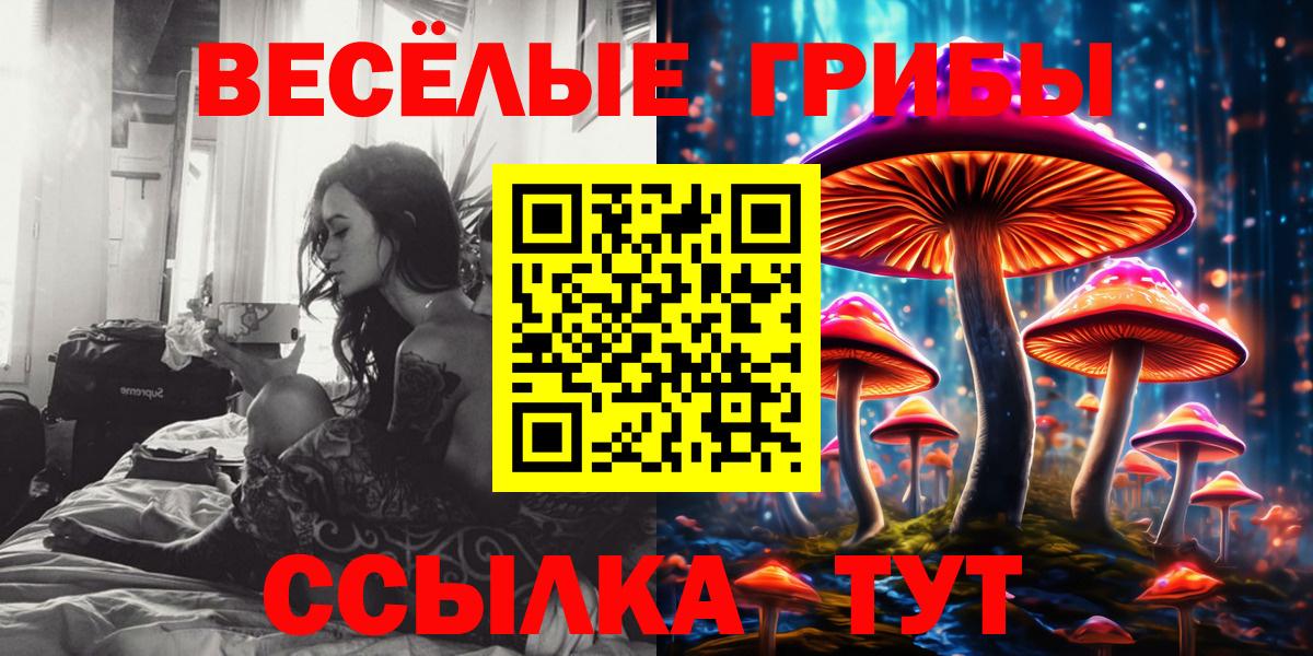 Псилоцибиновые грибы прущие грибы  Вход с VPN  Губкинский 
