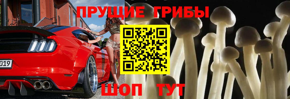 Псилоцибиновые грибы прущие грибы Губкинский