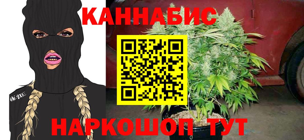 Конопля конопля Губкинский